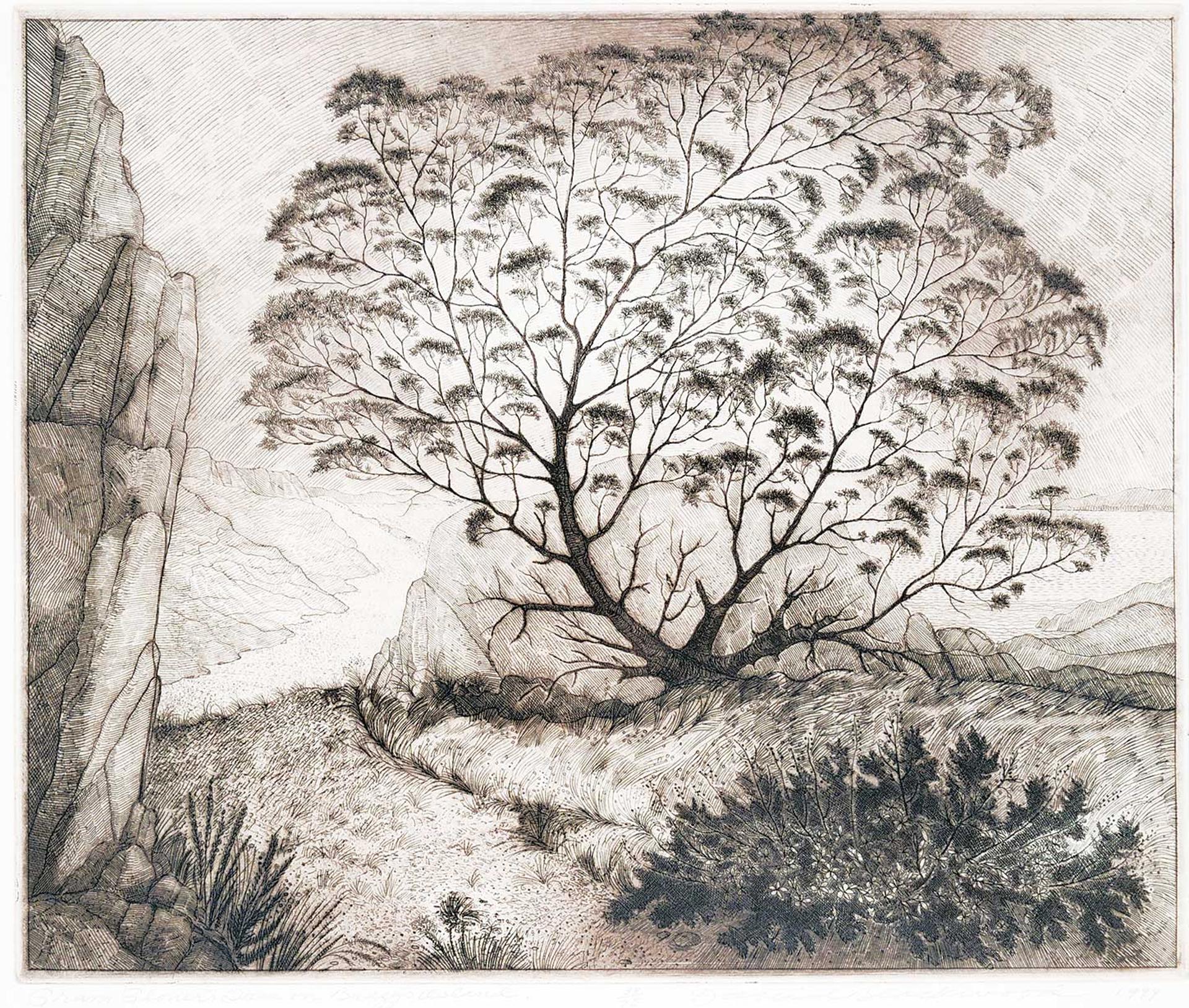 David Lloyd Blackwood (1941-2022) - Gram Glover's Tree on Bragg's Island #38/75