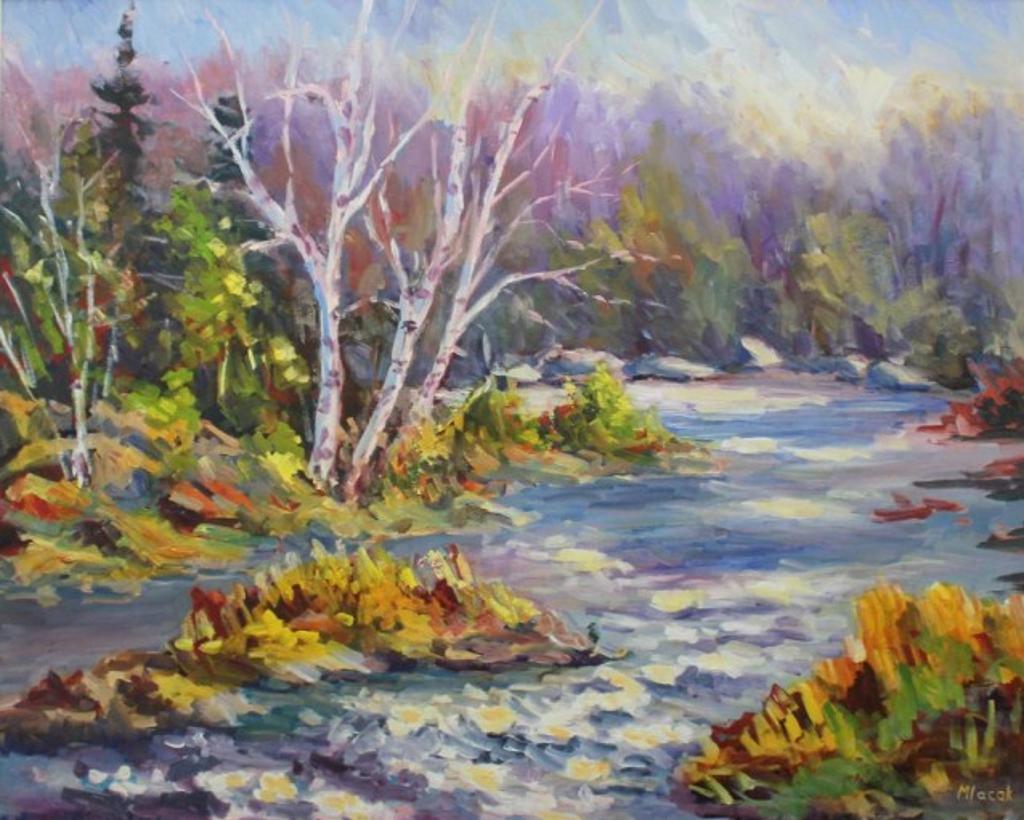 John Mlacak - Birch on the Madawaska