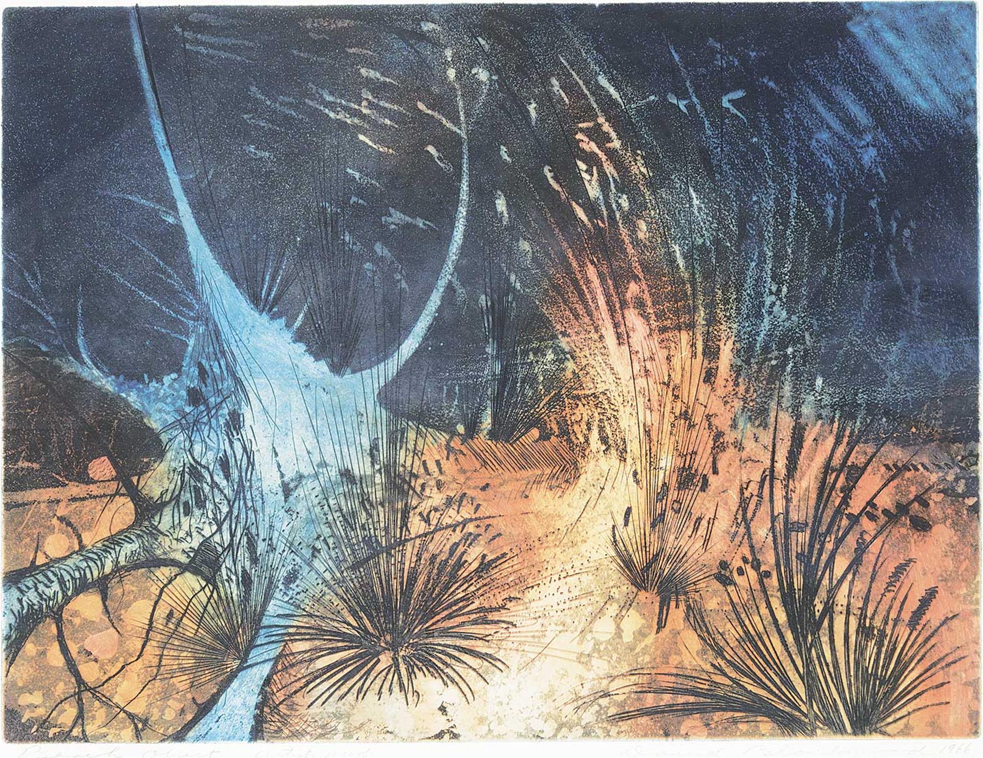 David Lloyd Blackwood (1941-2022) - Beach Object  #Artist's Proof