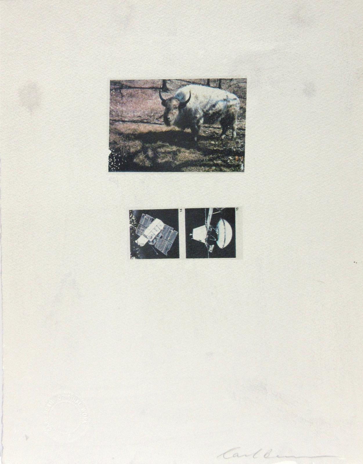 Carl Beam (1943-2005) - Buffalo/Satellites