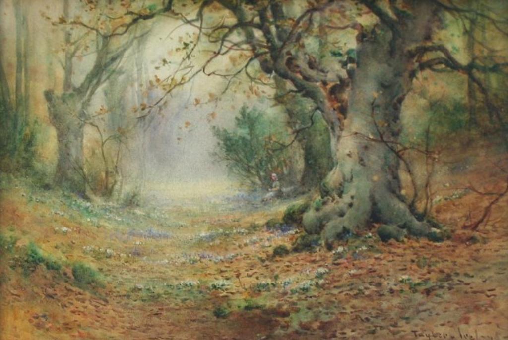 Thomas Tayler Ireland (1880-1927) - Picking Bluebells In A Forest Glade