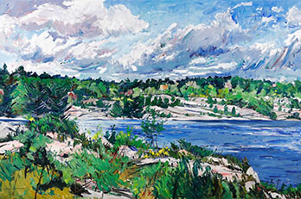 Bruce Steinhoff (1959) - Ouiment Point, Georgian Bay (03832/A90-022)