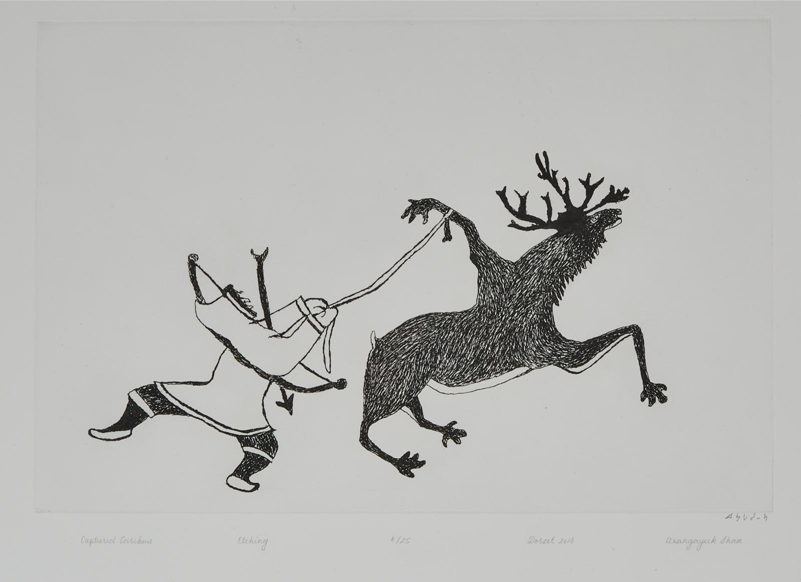 Aqjangajuk (Axangayu) Shaa (1937-2019) - Captured Caribou