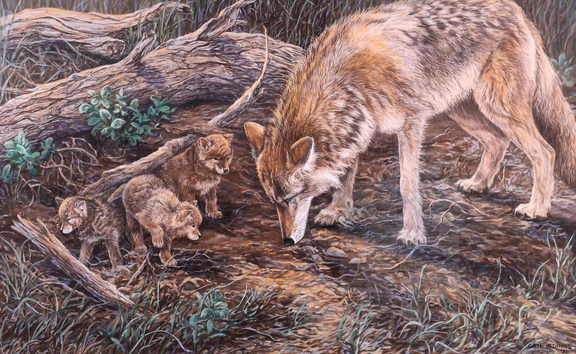 Gail Adams - Natures Tenants; 1997