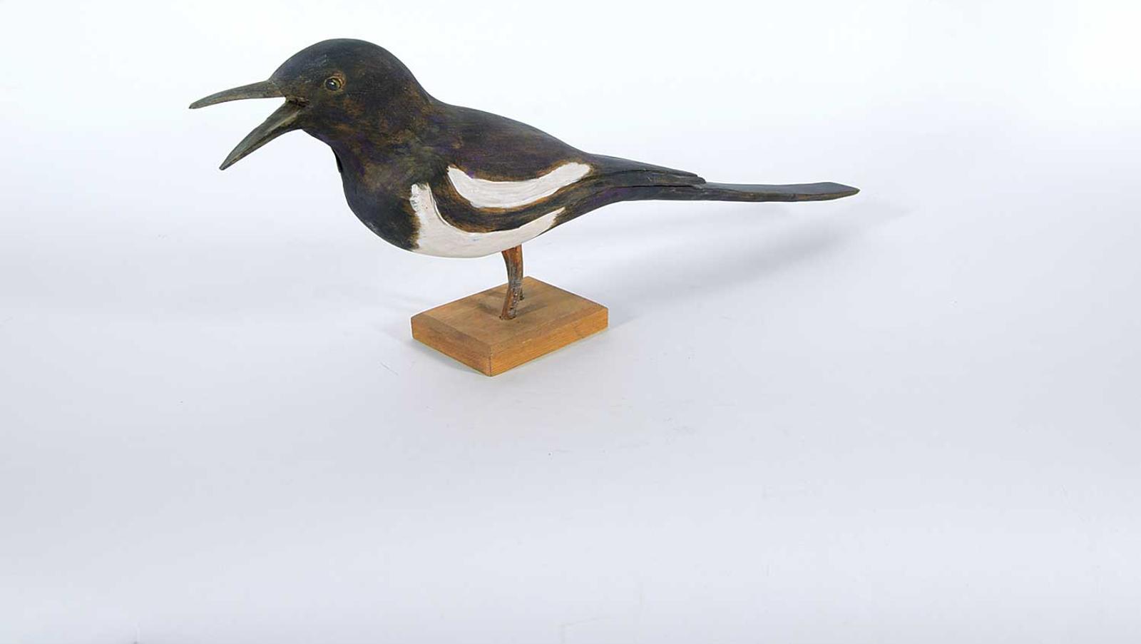 Rich Arts - Black-billed Magpie