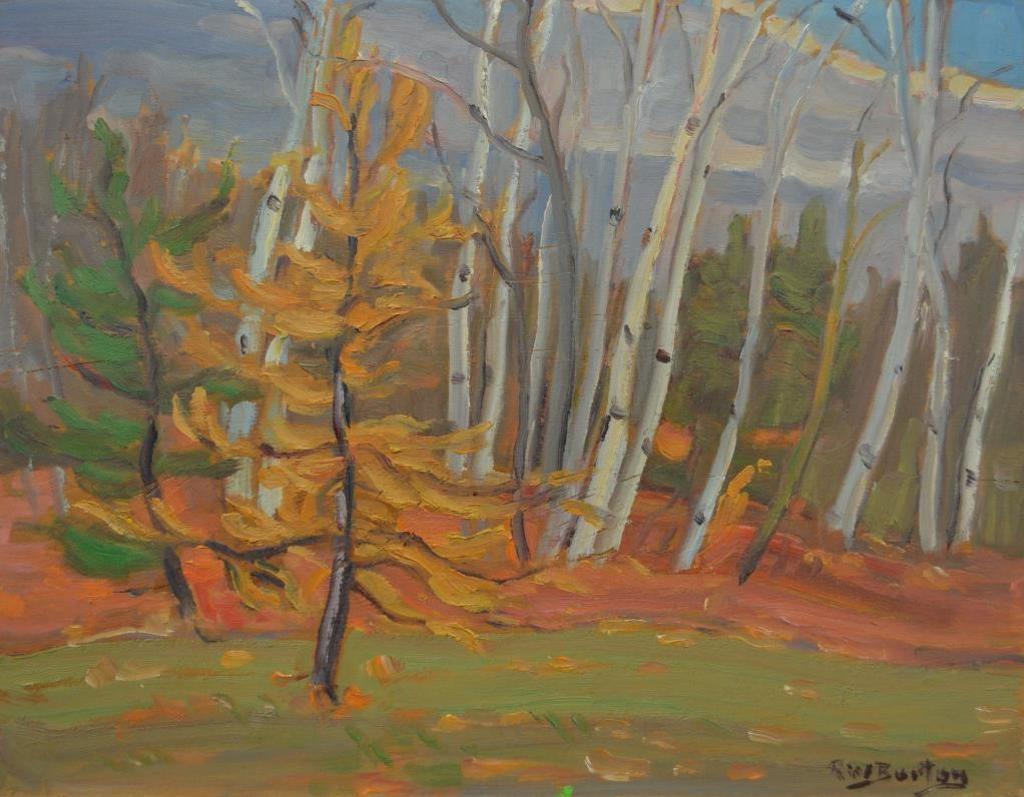 Ralph Wallace Burton (1905-1983) - Birch Bush and Tamarac Pine Glen, Ottawa