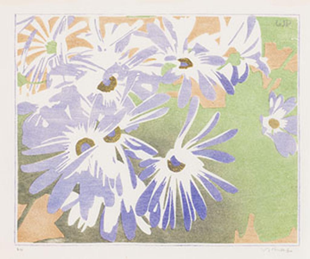 Walter Joseph (W.J.) Phillips (1884-1963) - Cineraria