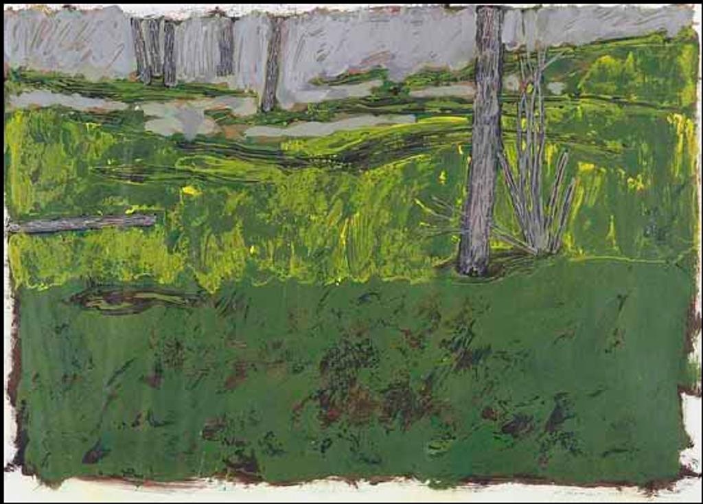 Michael Matthews (1954) - Cathedral Grove (01561/2013-2484)