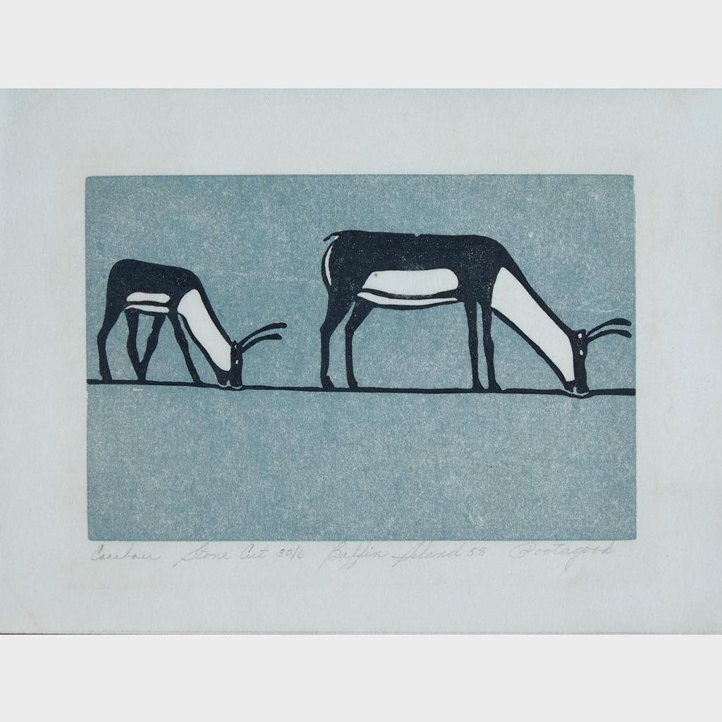 Joseph Pootoogook (1887-1958) - Caribou