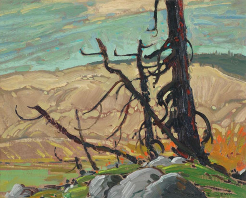 Robert Douglas Genn (1936-2014) - Pine and Offskip