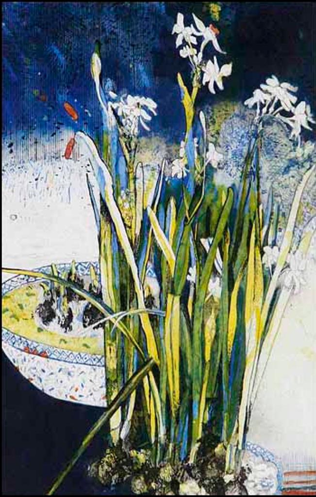 Andie C. Wicherts (1930-2019) - Paperwhites (01783/2013-201)