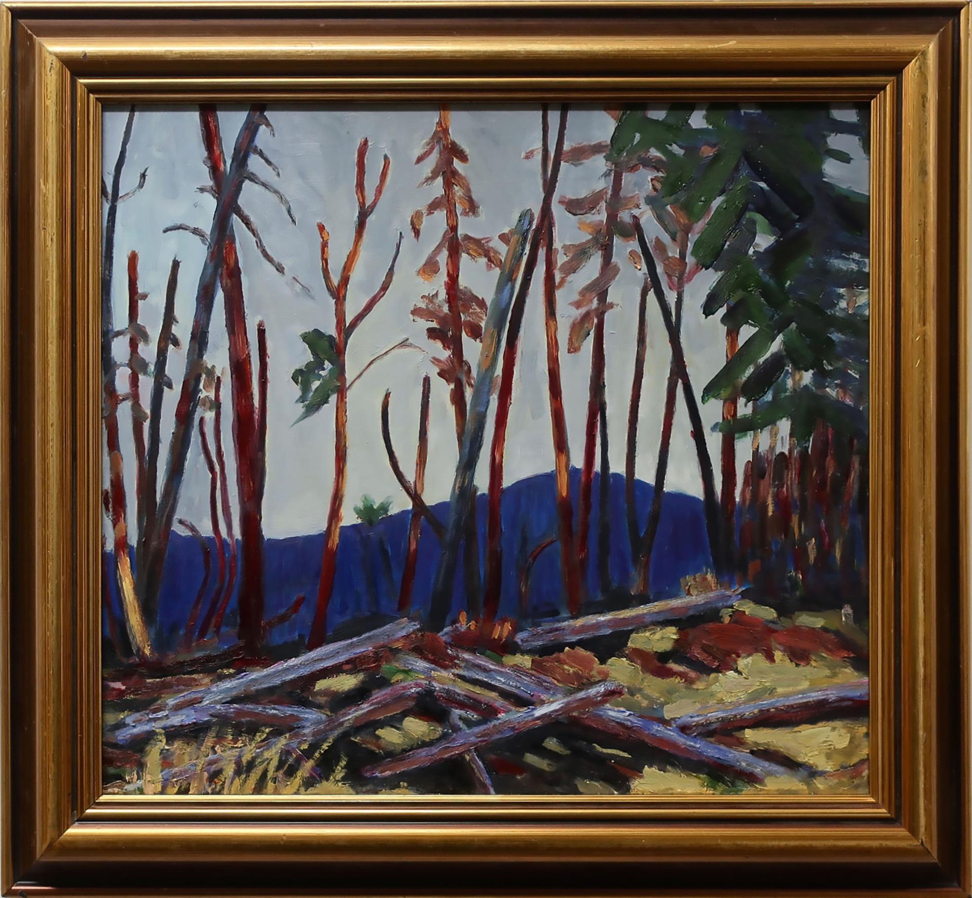 John Oliver (1939) - Burnt Country