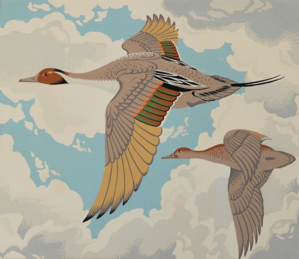 Alfred Joseph (A.J.) Casson (1898-1992) - Pintail
