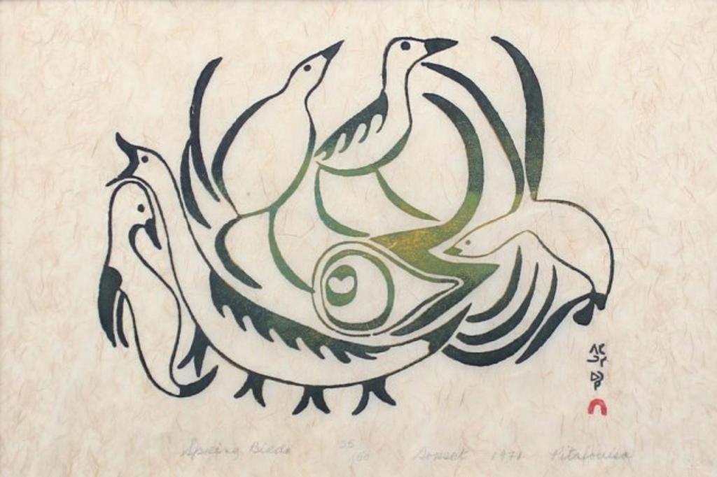 Pita Louisa - Spring Birds
