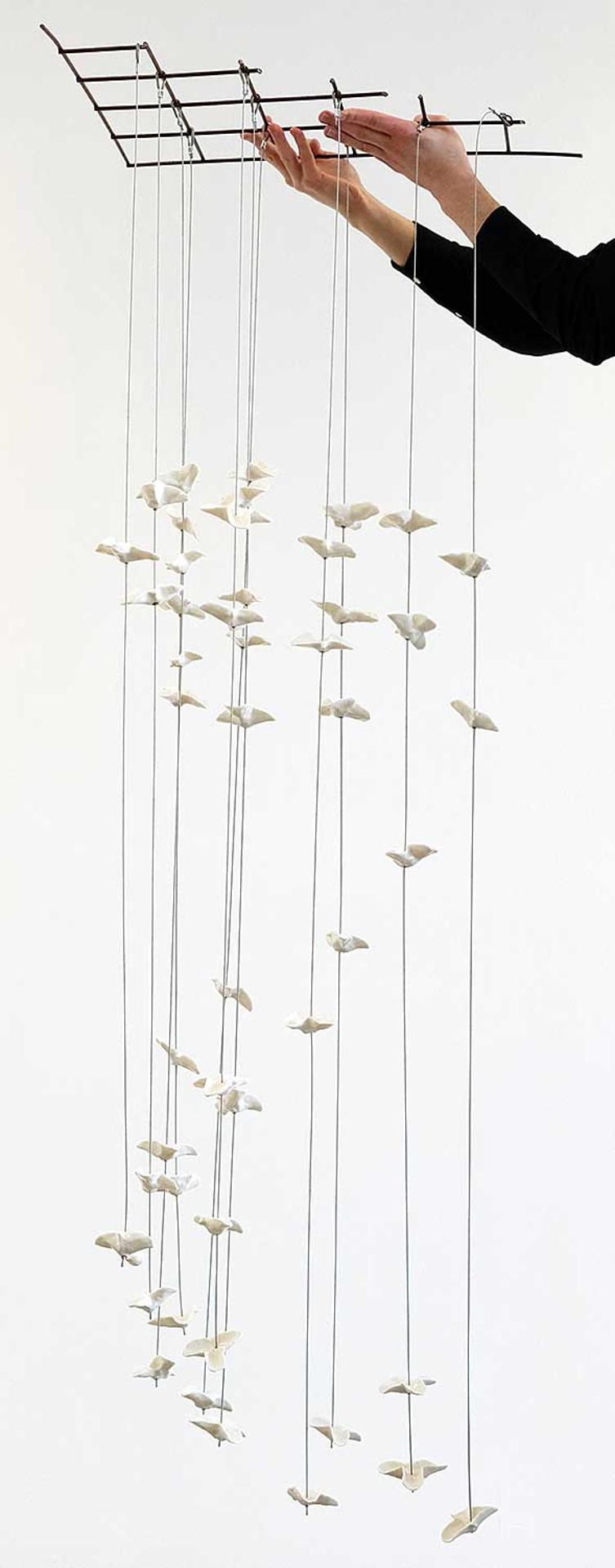 Catherine Ross - Study in White