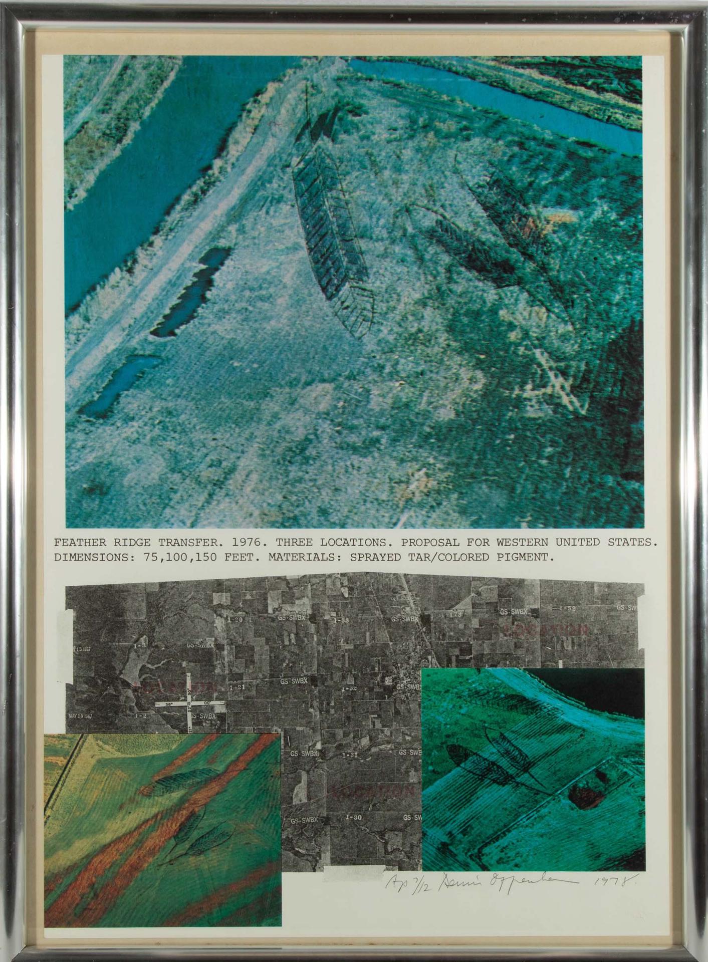 Dennis Oppenheim - Feather Ridge Transfer