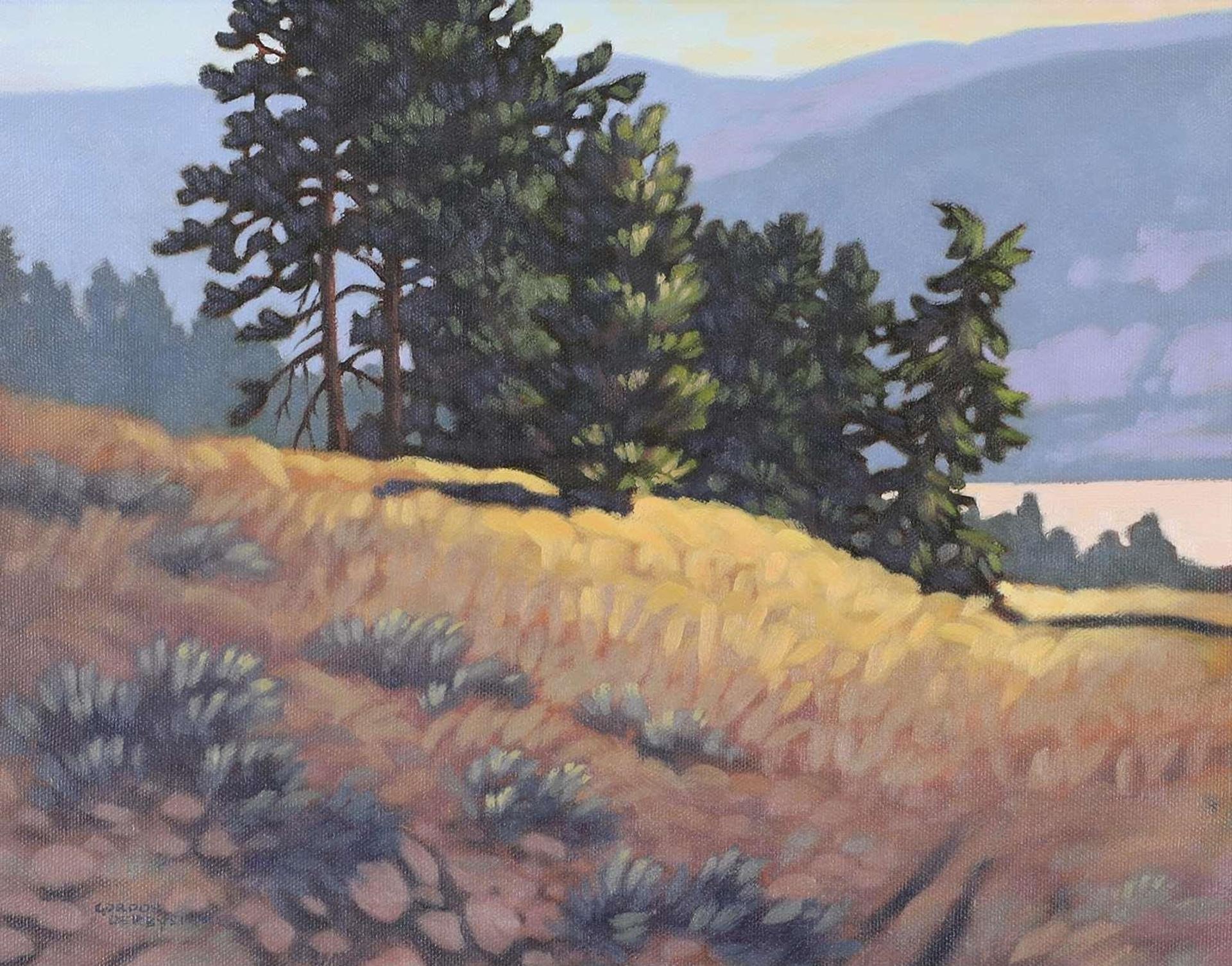 Gordon Derbyshire (1961) - Sage Field