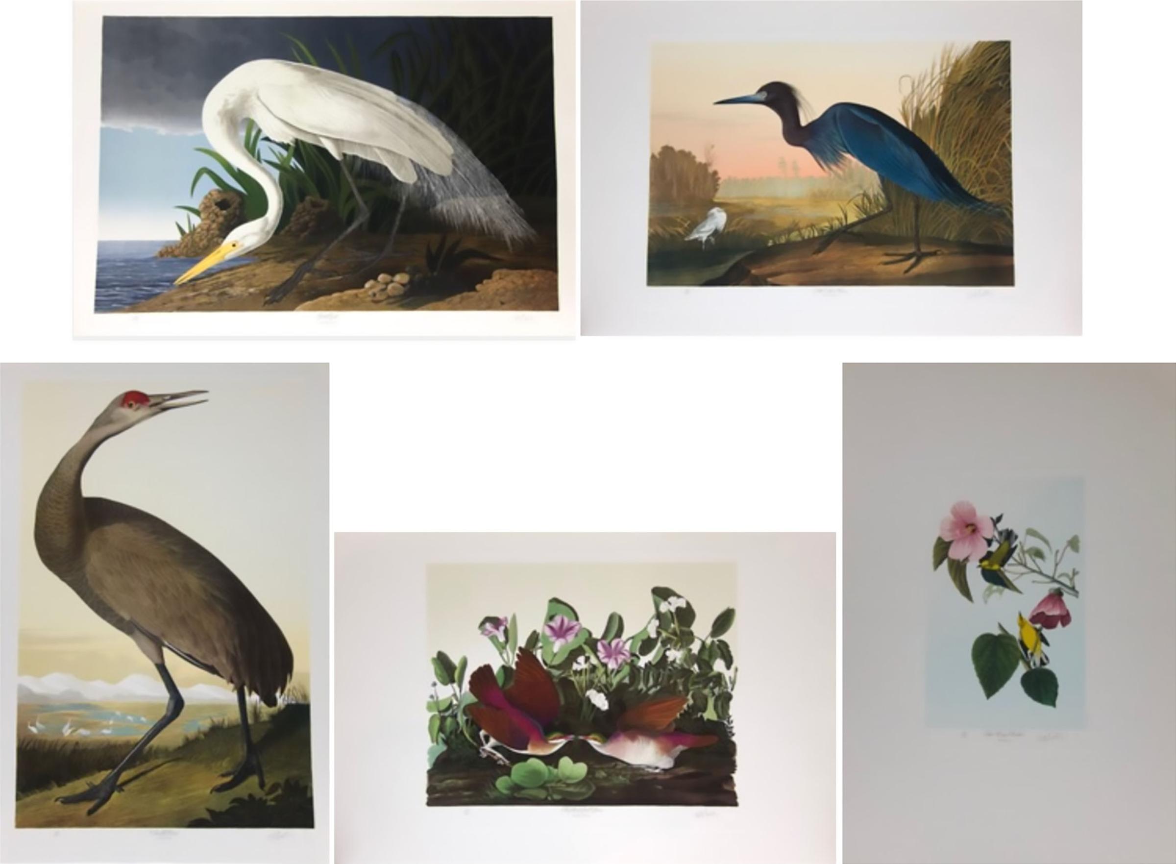 M. Bernard Loates - Birds Of America