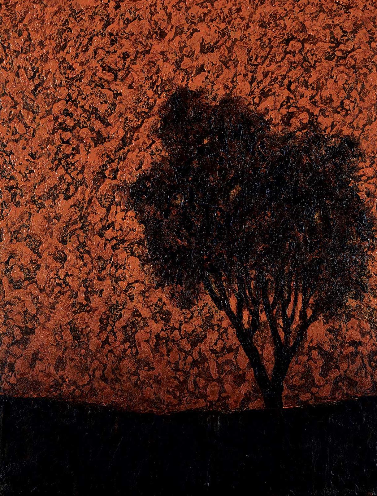 Shannon Norberg (1978) - Solitary View
