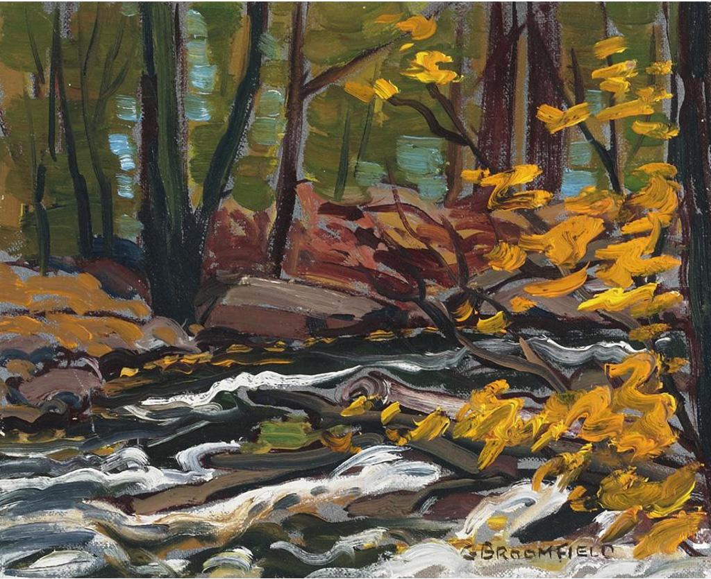 Adolphus George Broomfield (1906-1992) - Barry’S Bay - White Water, 1973