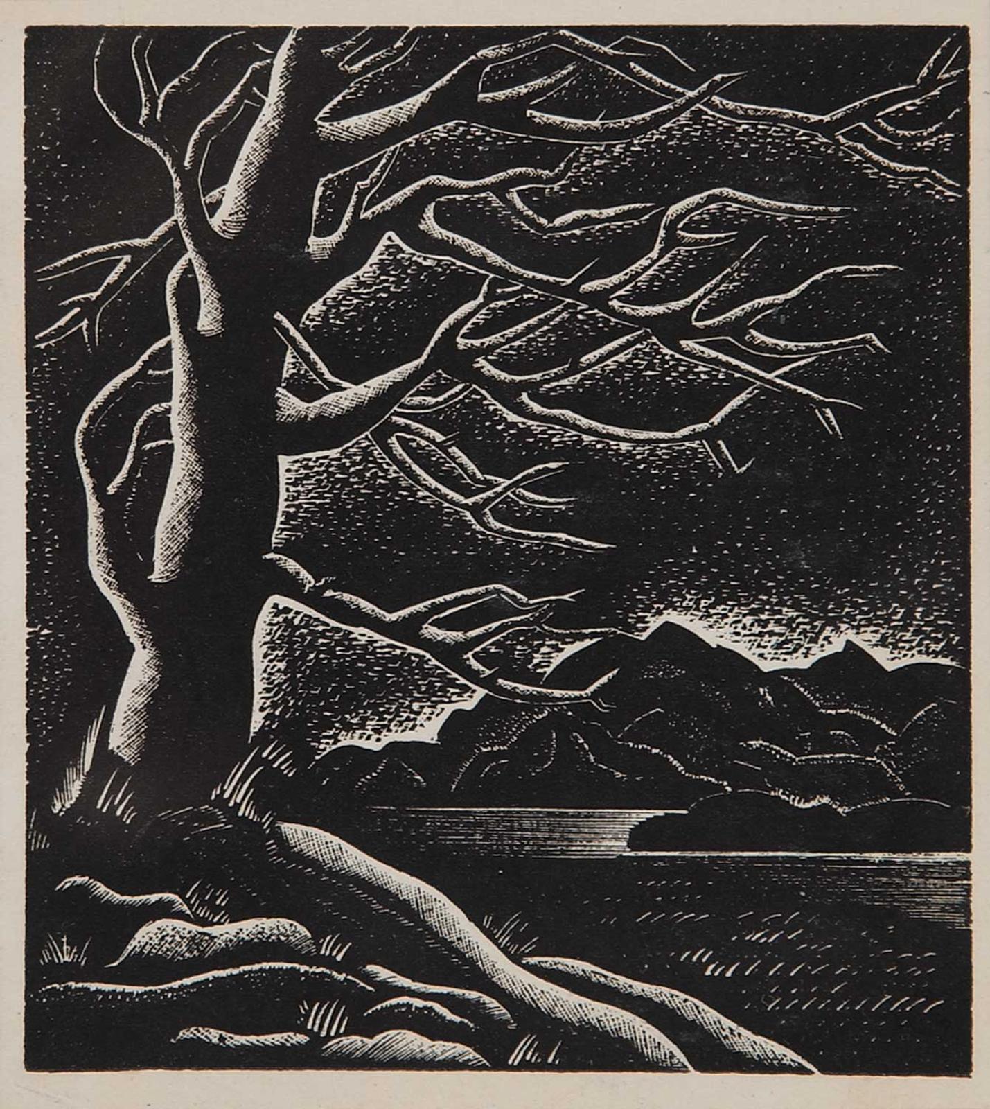 Atributted Francis [Franz] Hans Johnston - Untitled - Evening Light