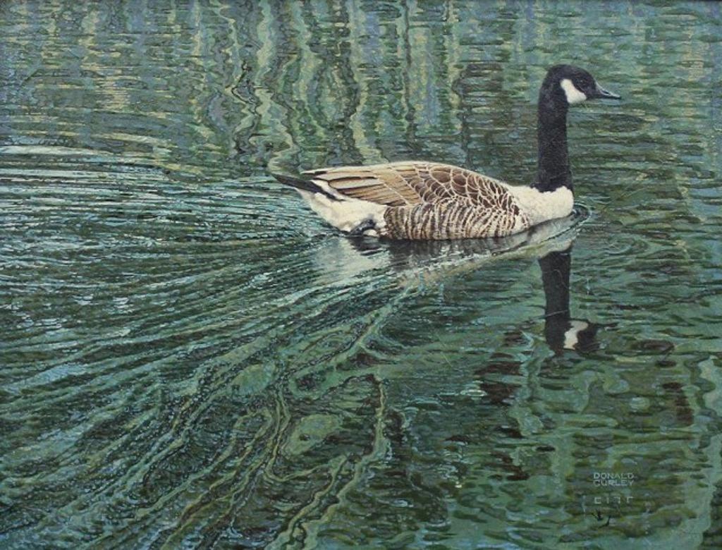 Donald Houston Curley (1940-2009) - Royal Canadian