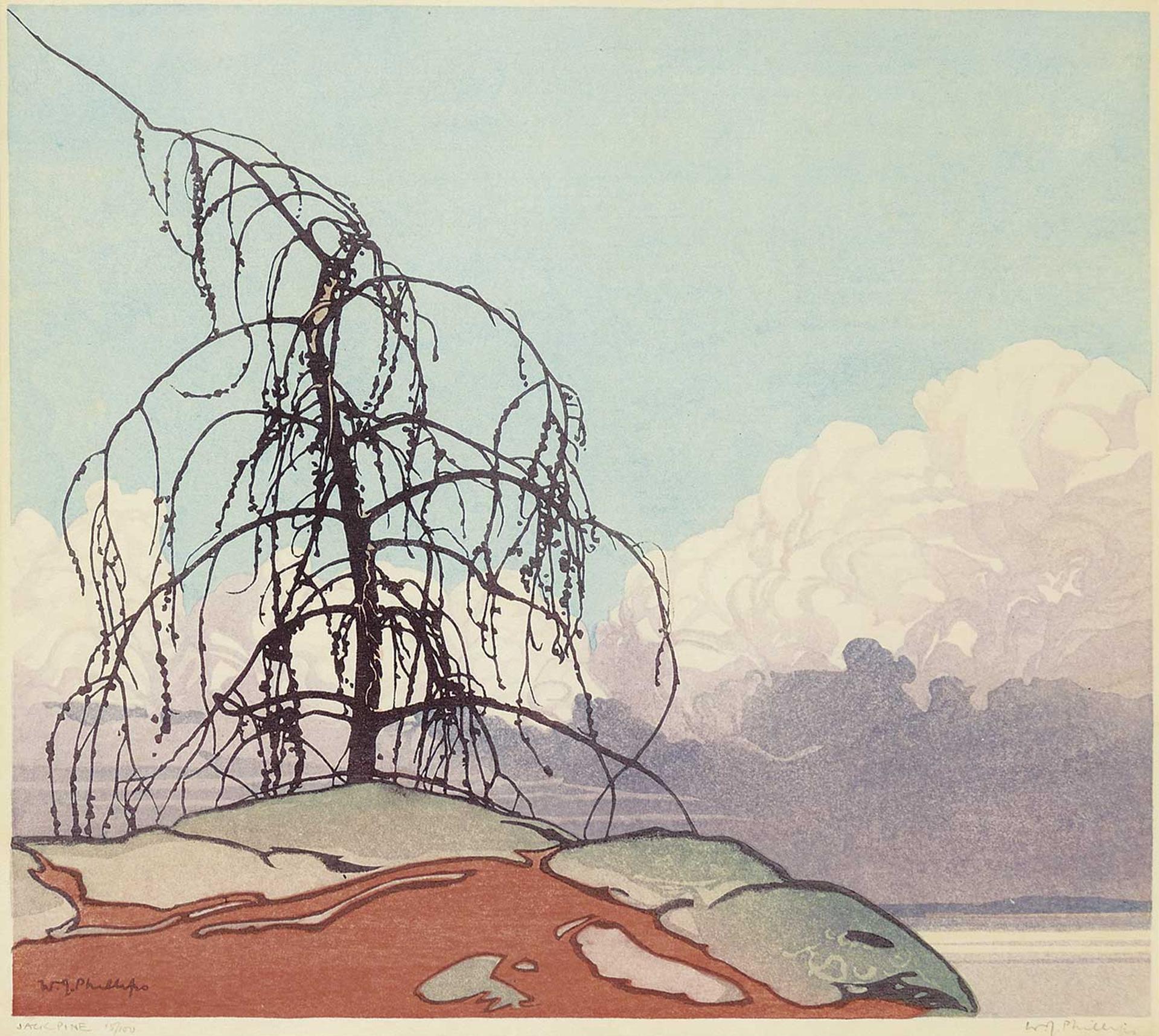 Walter Joseph (W.J.) Phillips (1884-1963) - The Jack Pine #15/100
