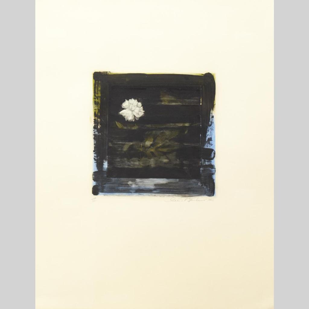 Celia Neubauer - Vii