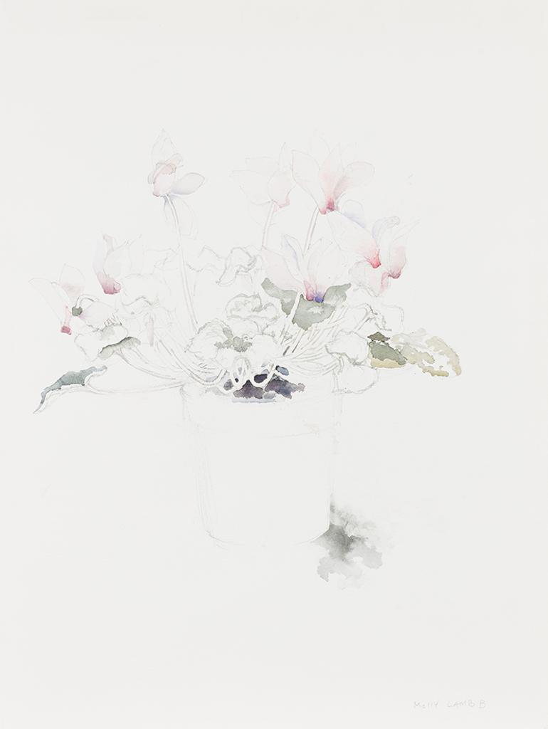 Molly Joan Lamb Bobak (1922-2014) - Cyclamen