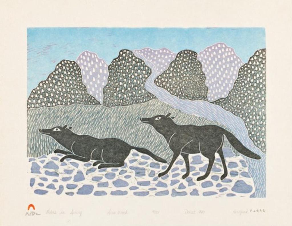 Kenojuak Ashevak (1927-2013) - Untitled