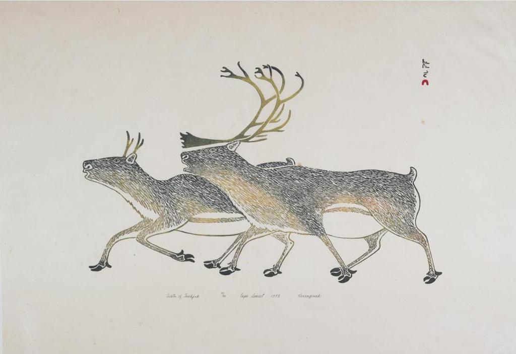 Kananginak Pootoogook (1935-2010) - Tuktu Tasikjuk