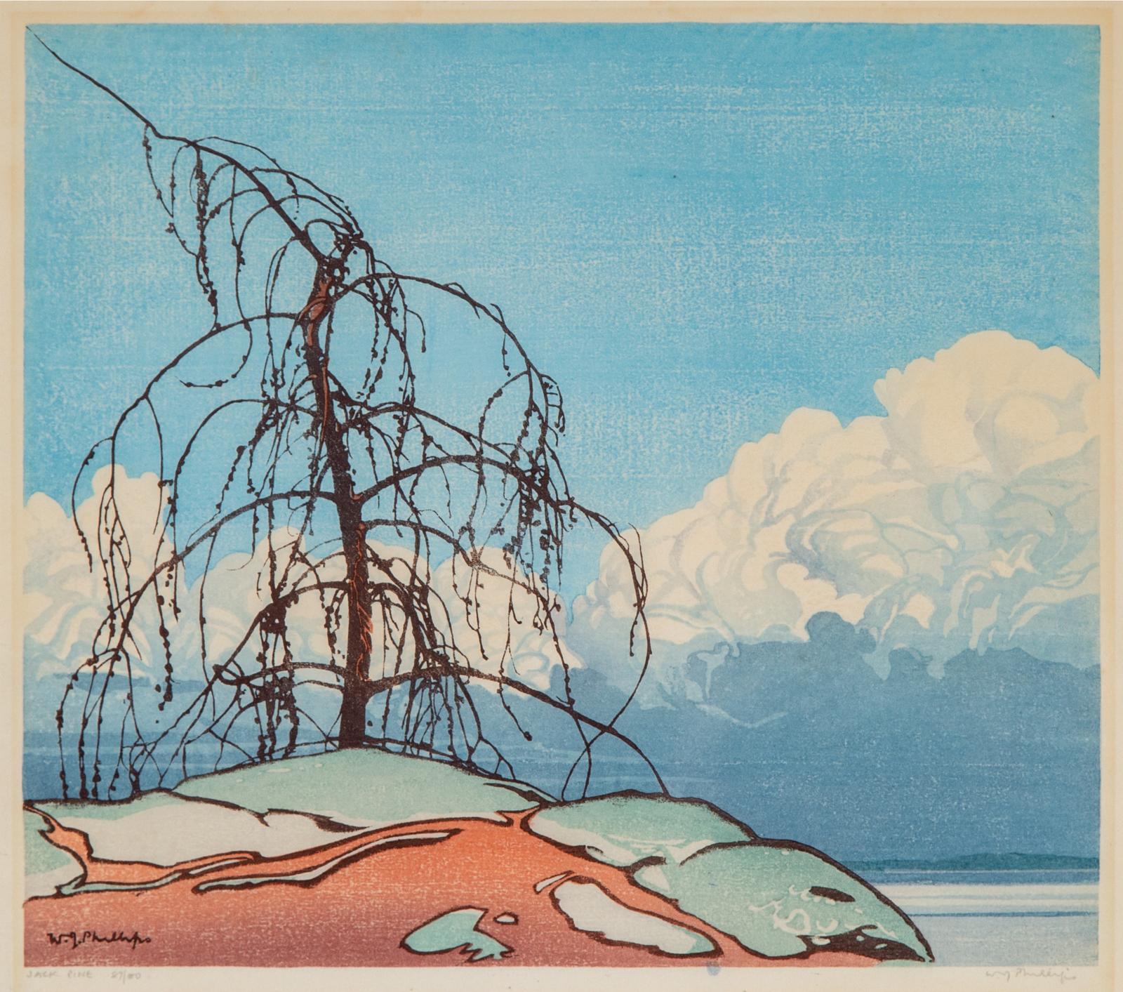 Walter Joseph (W.J.) Phillips (1884-1963) - Jack Pine