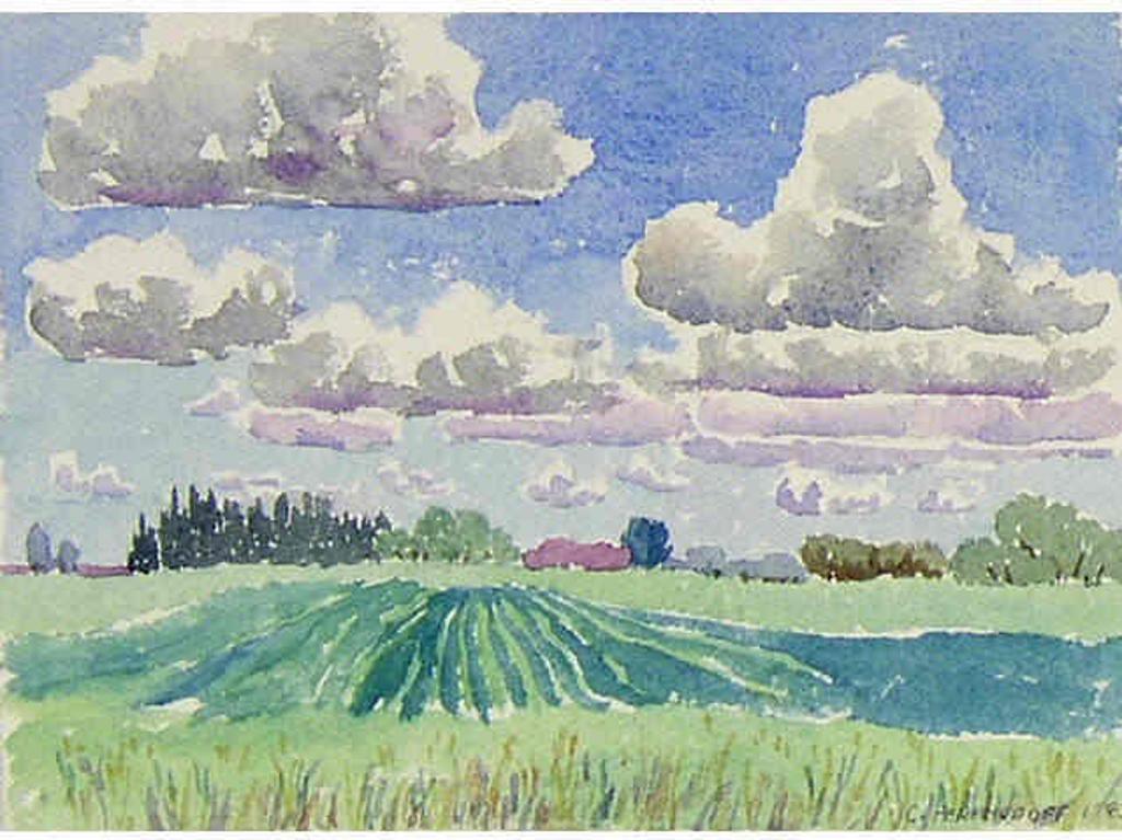 Carol Perehudoff (1960) - Untitled