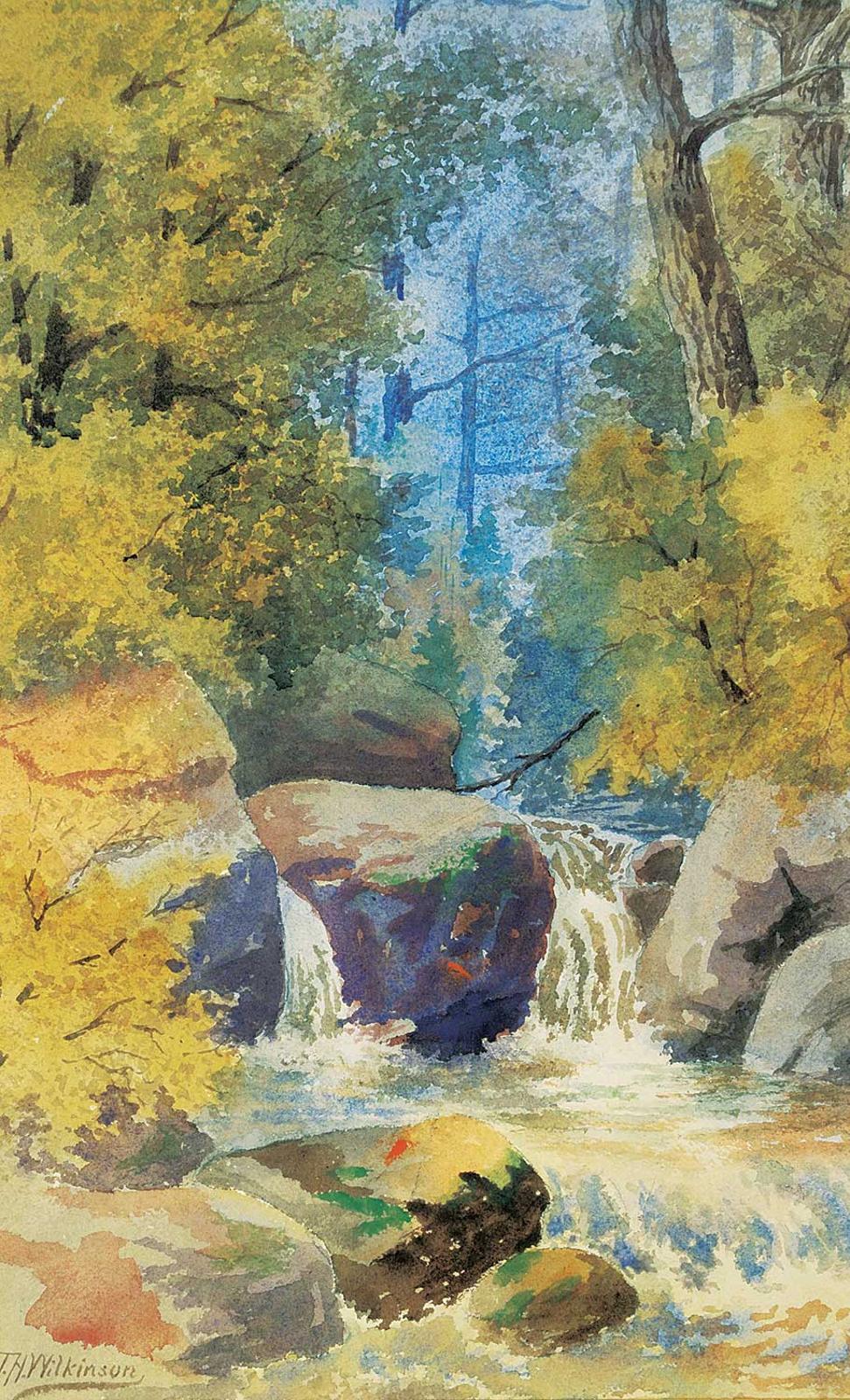 Thomas Harrison (T.H.) Wilkinson (1847-1929) - Stream in Forest