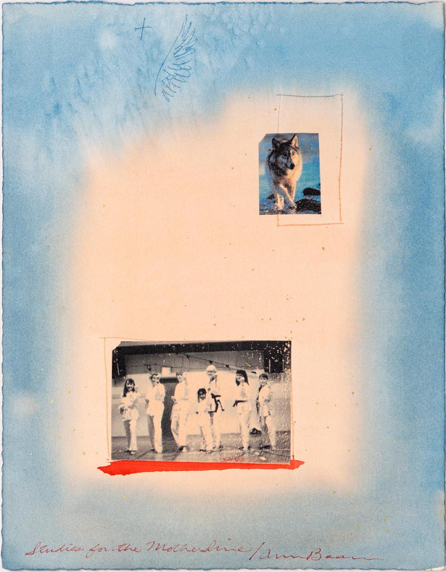 Ann Beam (1944) - Studies for the Motherline - Wolf