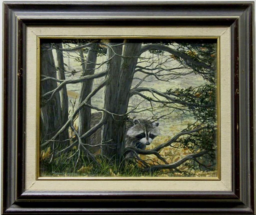 Marian Cousineau - Raccoon On A Mission; Wood Duck Landing