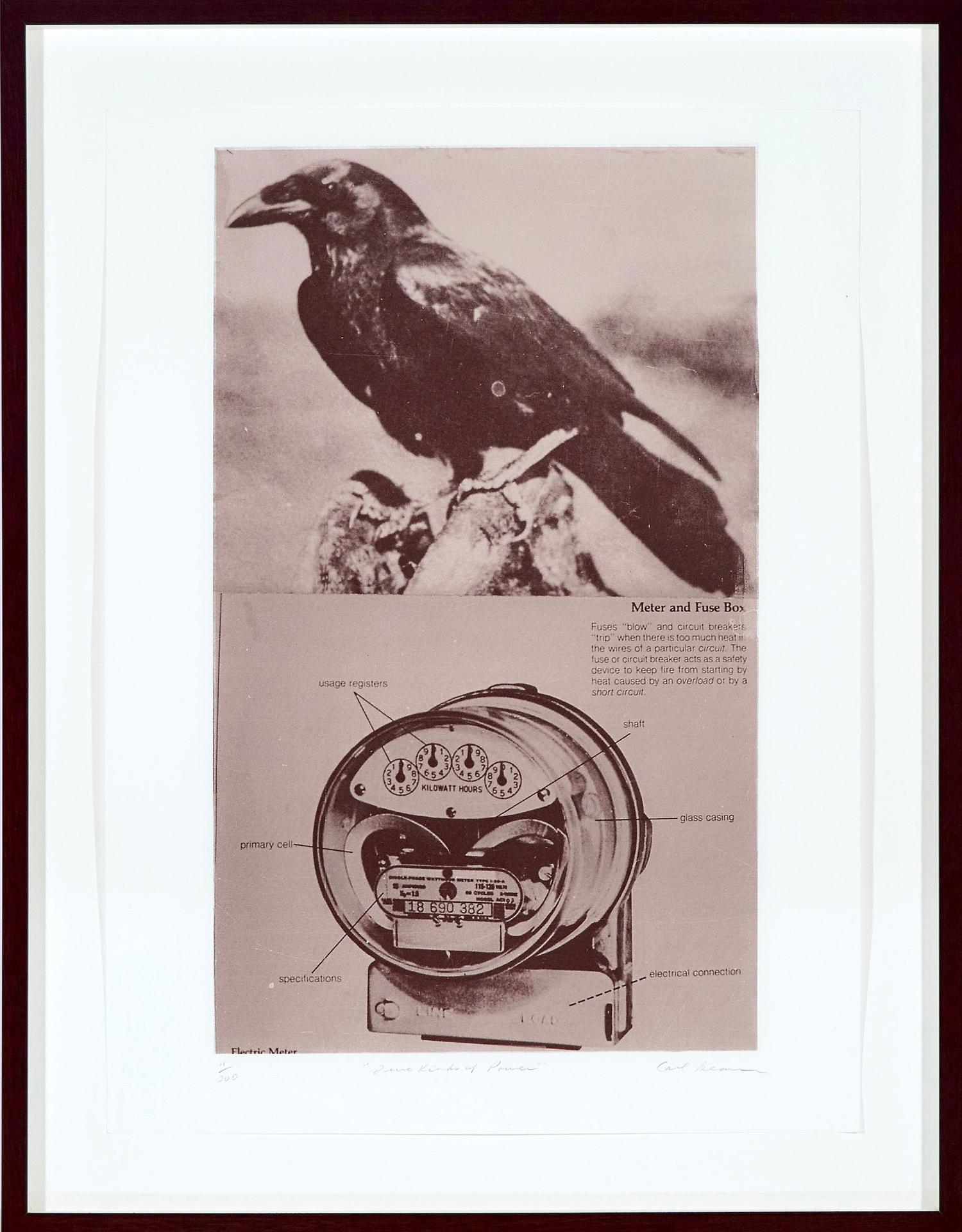 Carl Beam (1943-2005) - Two Kinds Of Power