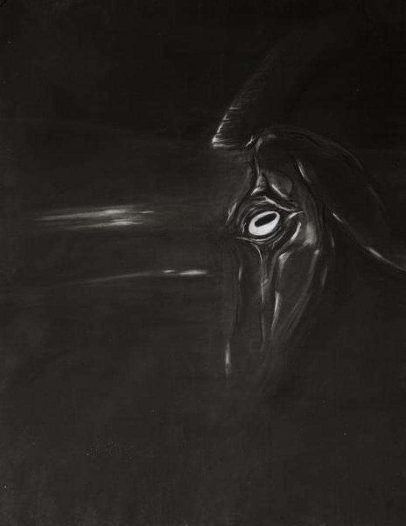 Adrian Teixeira - Goats Eye; 2010