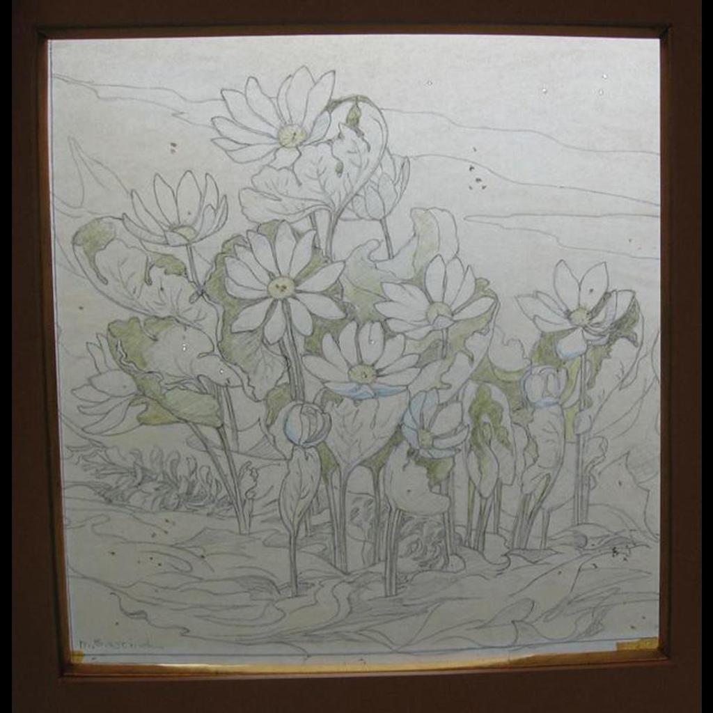 Mary Evelyn Wrinch (1877-1969) - Daisies