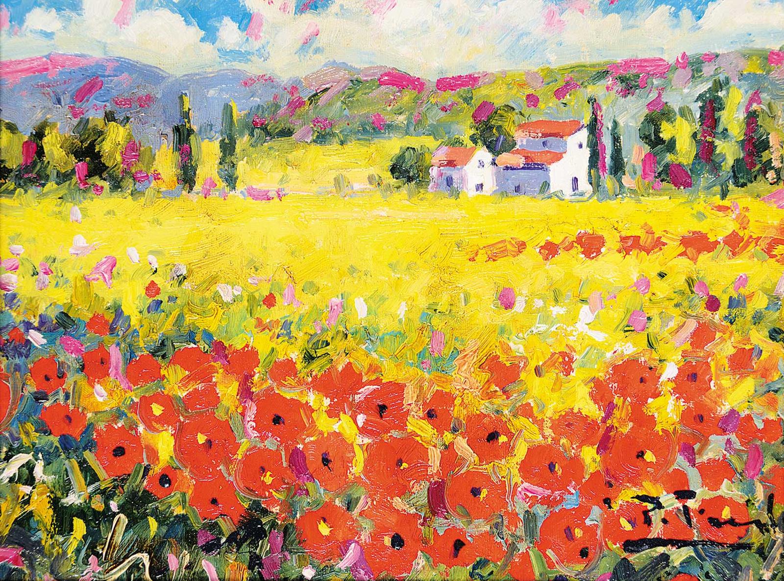 Pedro Fraile - Campo de Amapola, Granada, Spain