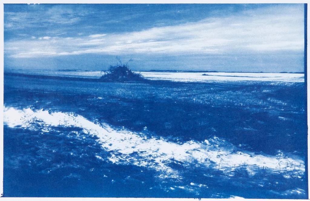 Sheldon Brown (1988) - Field Cyanotype