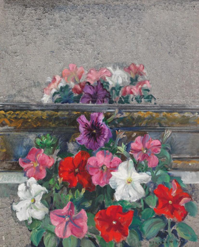 Joseph (Joe) Francis Plaskett (1918-2014) - Petunias