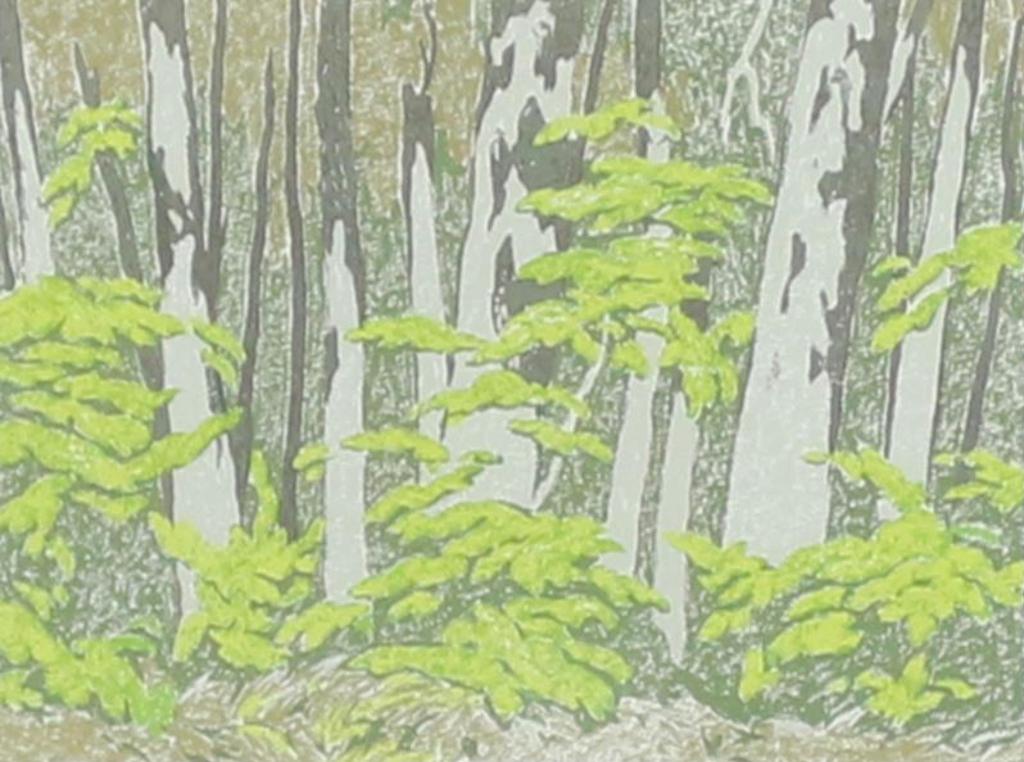 Alfred Joseph (A.J.) Casson (1898-1992) - Forest Edge