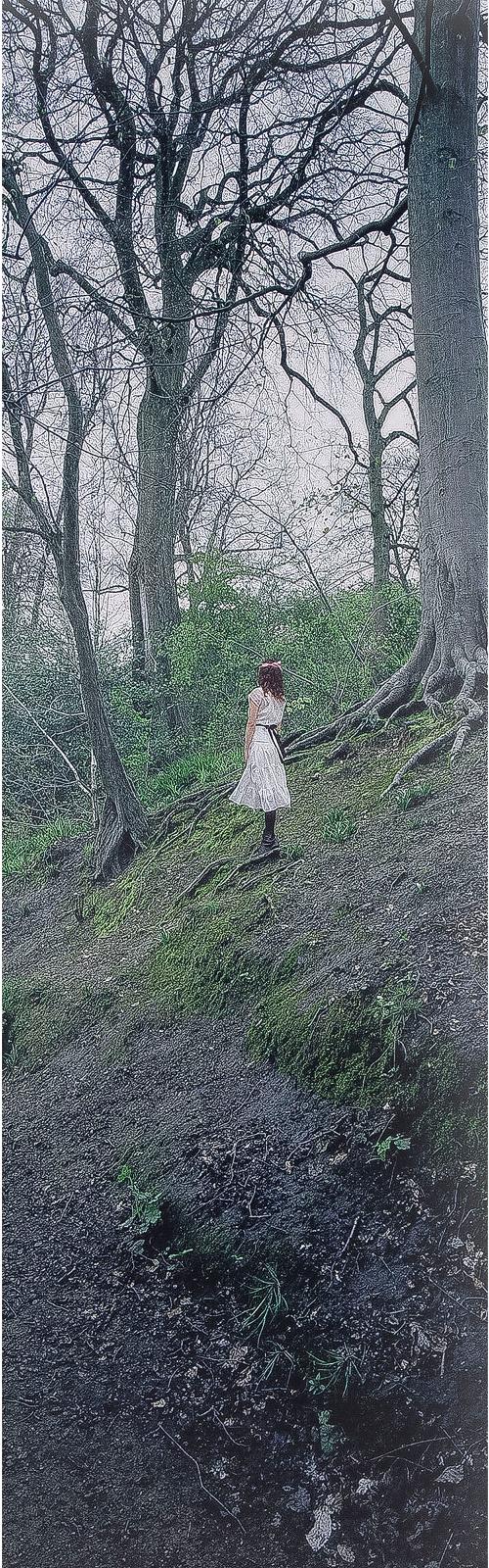 Karin Bubaš (1976) - DRYAD, 2008