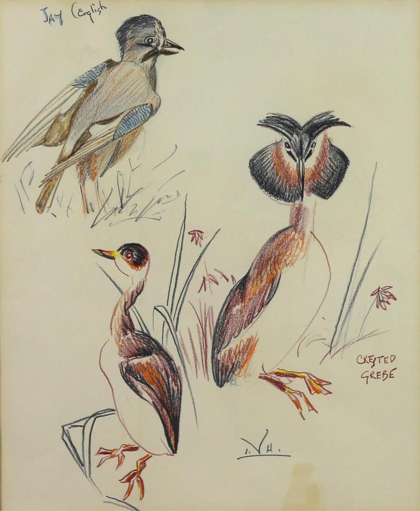 Illingworth Holey (Buck) Kerr (1905-1989) - English Jay And Crested Grebe