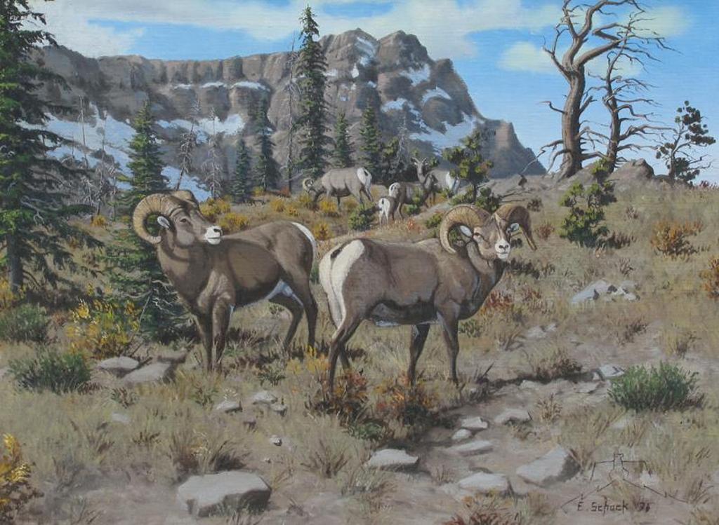 Elmer Schock (1970) - Mountain Sheep; 1976