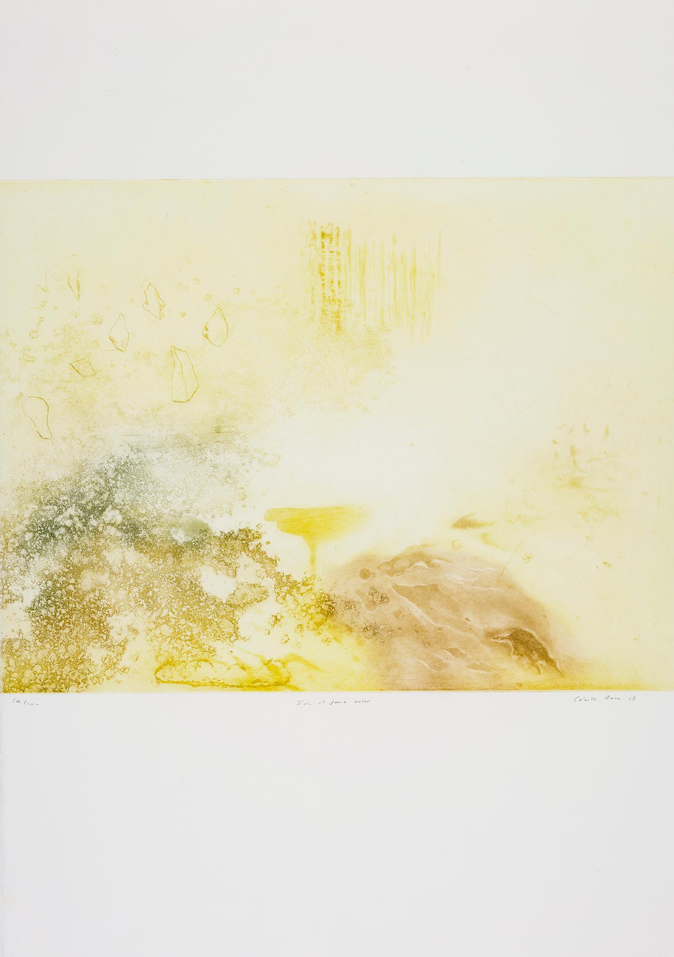 Cécile Ronc - Ici, il faut voler, 2013