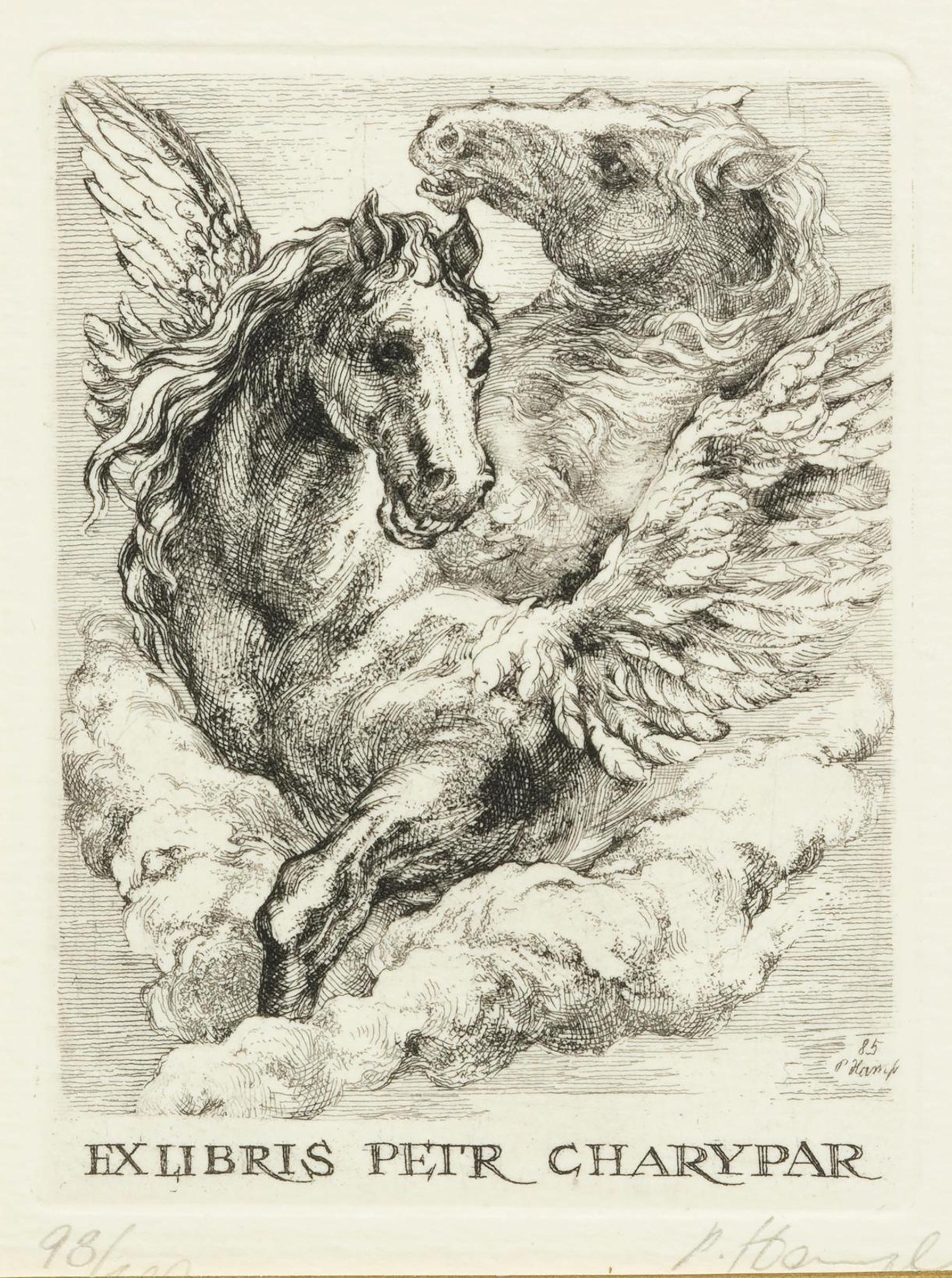 Petr Hampl (1969) - Winged Horses
