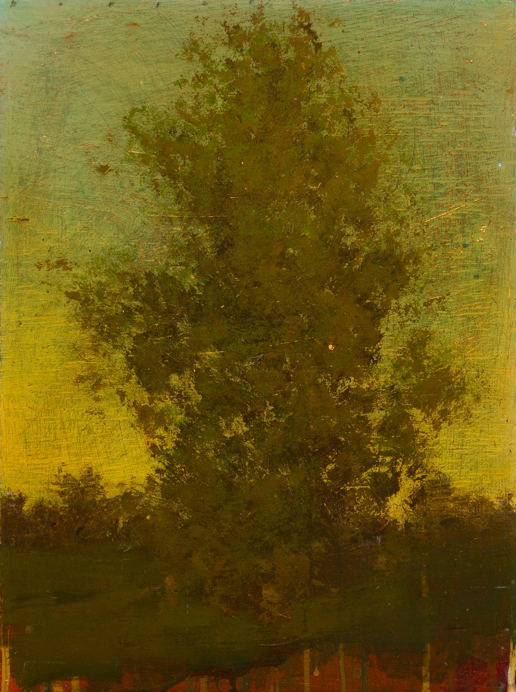 Peter Hoffer (1965) - Acre #2, n.d.