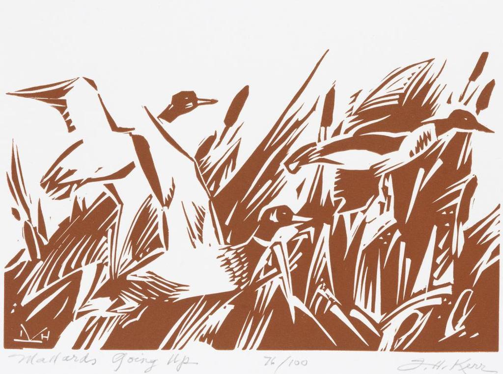 Illingworth Holey (Buck) Kerr (1905-1989) - Mallards Going Up